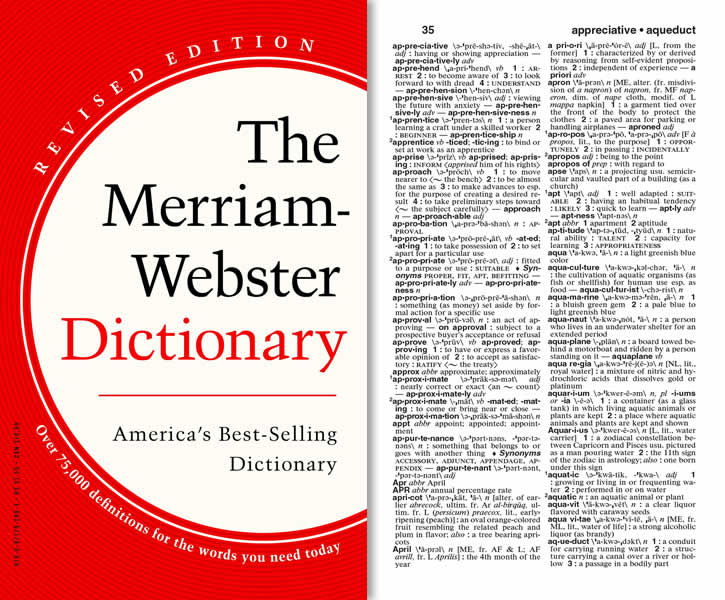 presentation webster's dictionary